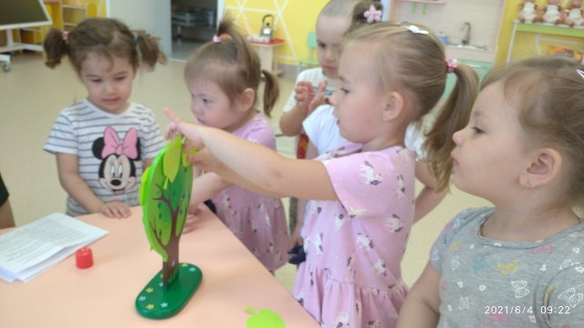 Игра Квест : « По лесным дорожкам»
