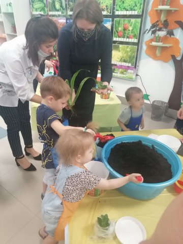 Экологическая акция «Посади свой цветок».