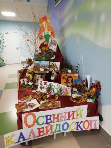  Выставка из даров осени «Осенний калейдоскоп».